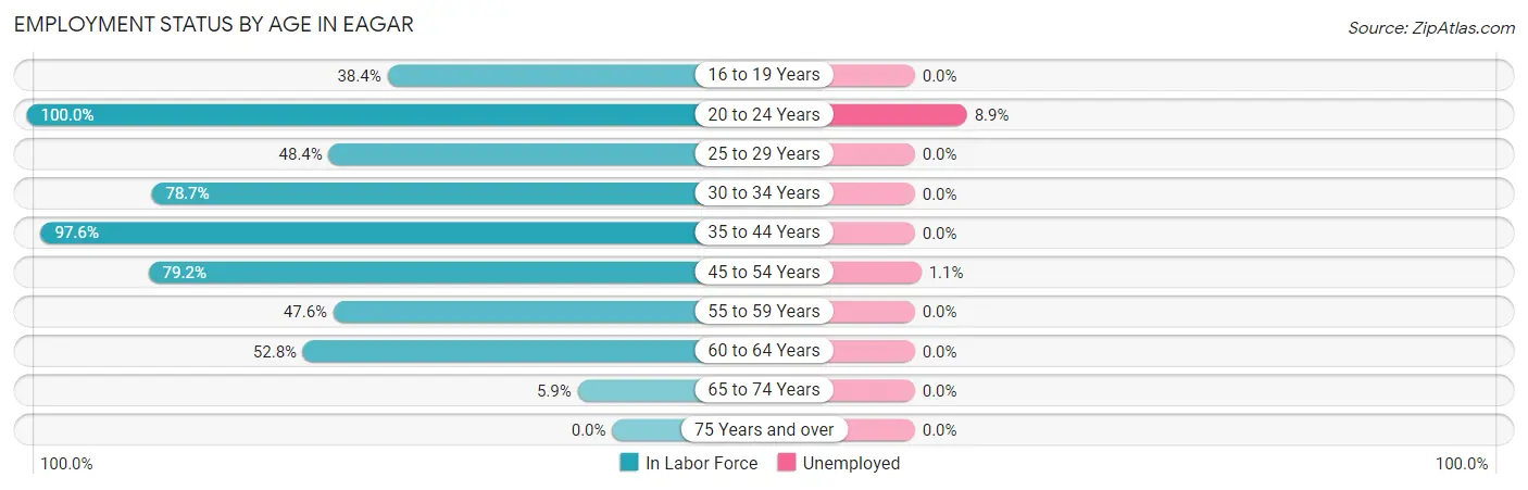 Employment Status by Age in Eagar