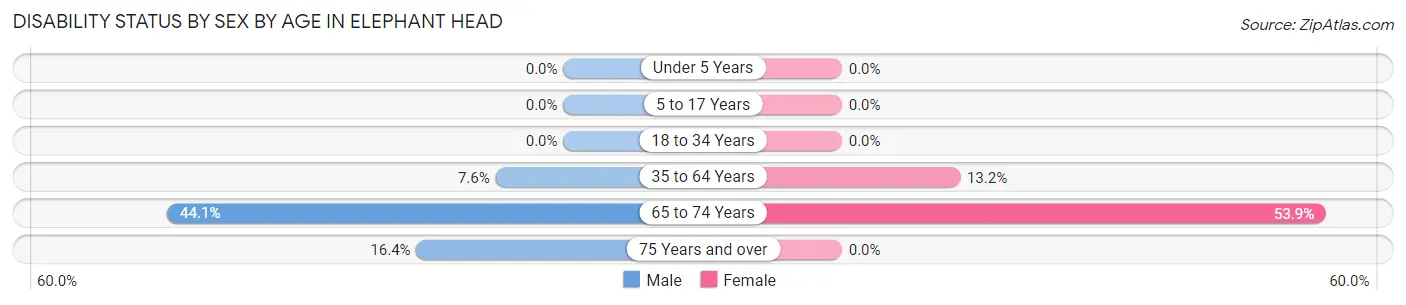 Disability Status by Sex by Age in Elephant Head