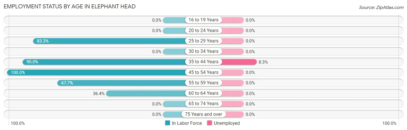 Employment Status by Age in Elephant Head
