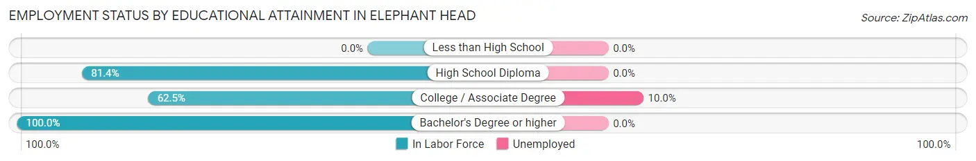 Employment Status by Educational Attainment in Elephant Head