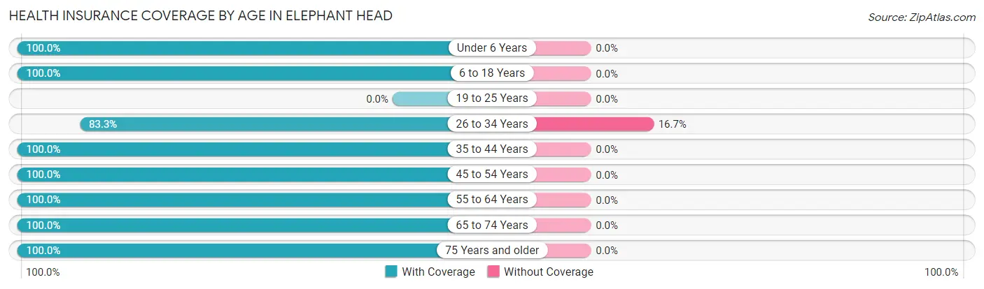 Health Insurance Coverage by Age in Elephant Head