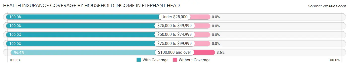 Health Insurance Coverage by Household Income in Elephant Head
