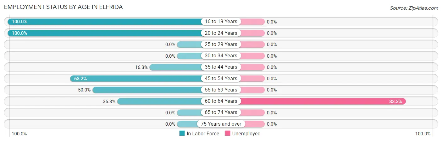 Employment Status by Age in Elfrida