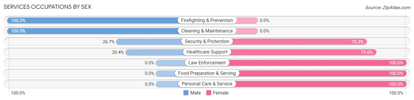 Services Occupations by Sex in First Mesa