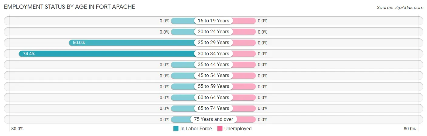 Employment Status by Age in Fort Apache