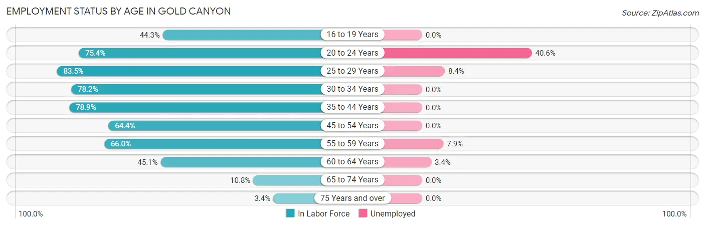 Employment Status by Age in Gold Canyon