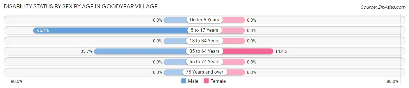 Disability Status by Sex by Age in Goodyear Village