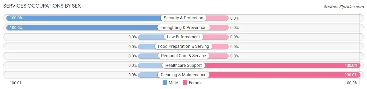 Services Occupations by Sex in Goodyear Village