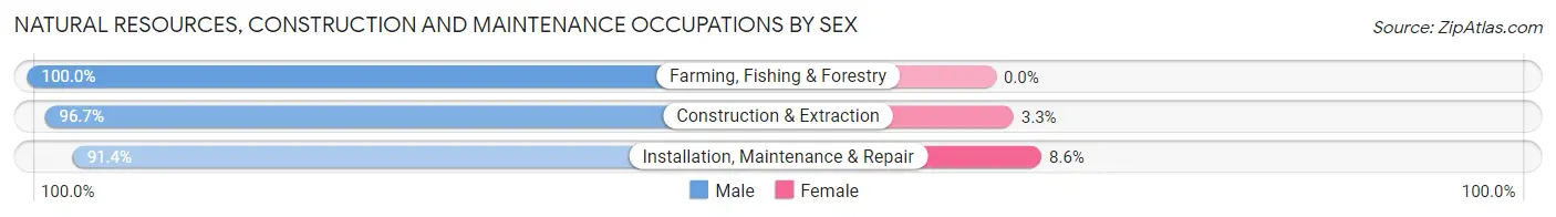 Natural Resources, Construction and Maintenance Occupations by Sex in Goodyear