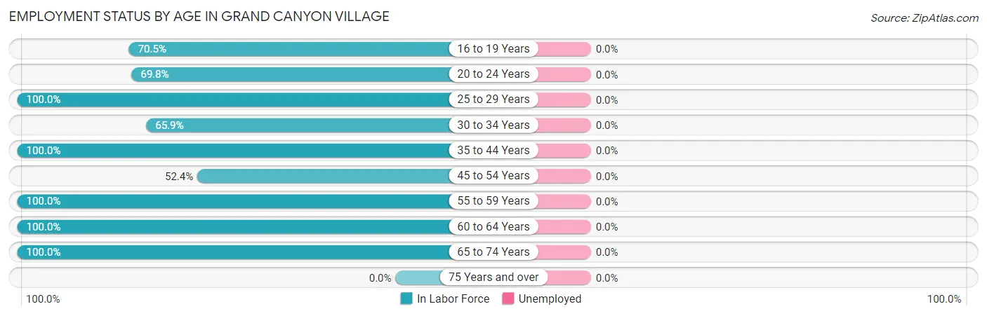 Employment Status by Age in Grand Canyon Village