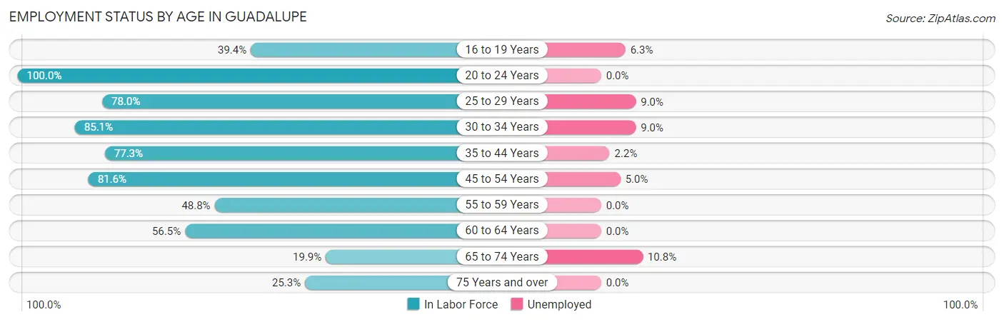 Employment Status by Age in Guadalupe