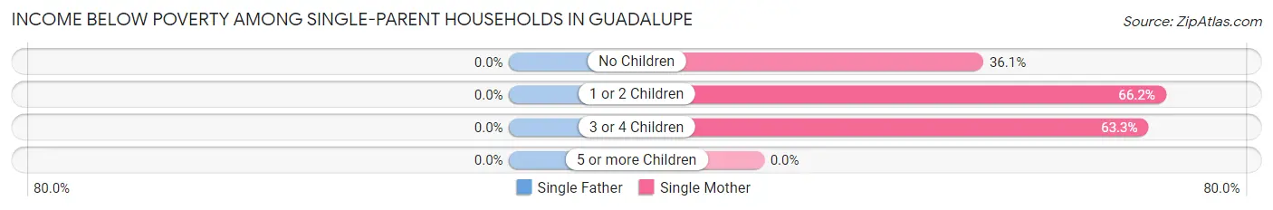 Income Below Poverty Among Single-Parent Households in Guadalupe