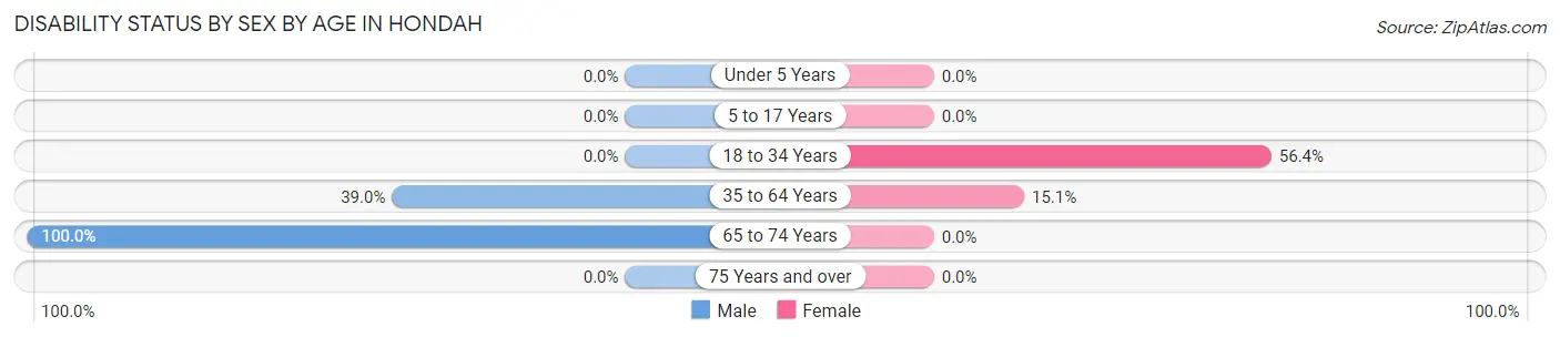 Disability Status by Sex by Age in Hondah