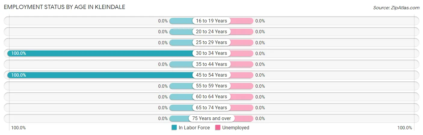 Employment Status by Age in Kleindale