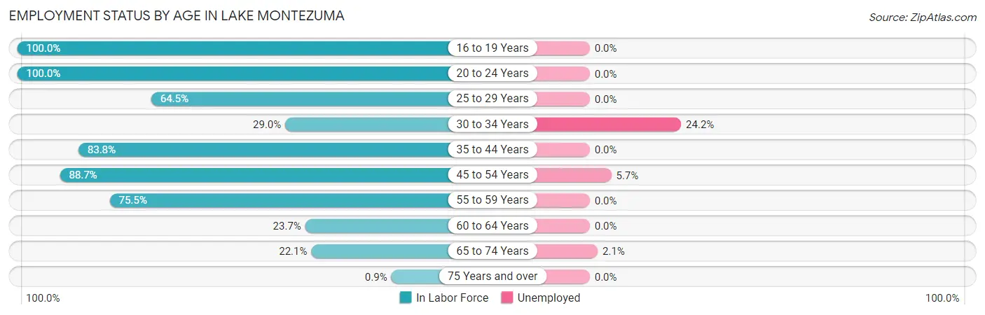 Employment Status by Age in Lake Montezuma