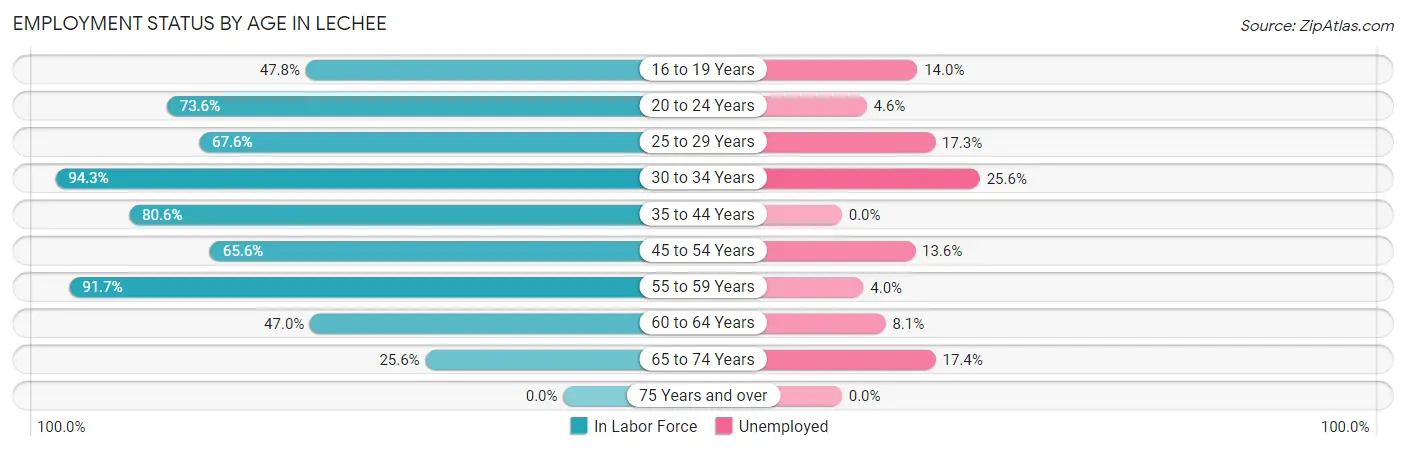 Employment Status by Age in LeChee