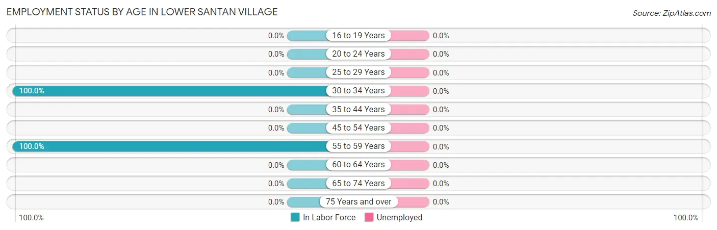 Employment Status by Age in Lower Santan Village