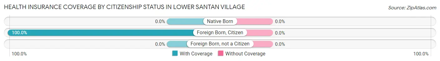 Health Insurance Coverage by Citizenship Status in Lower Santan Village
