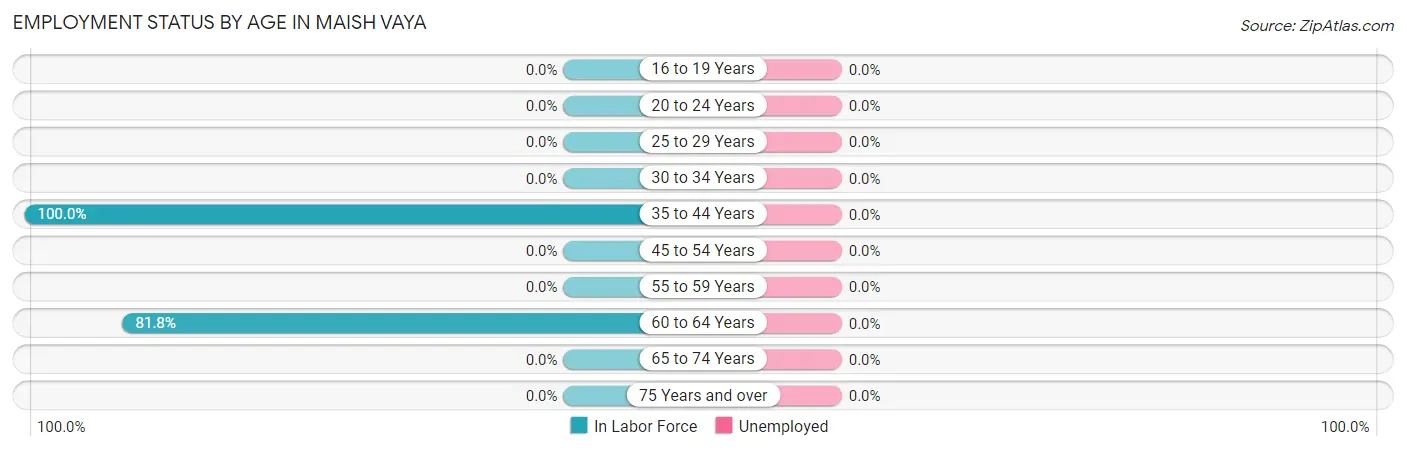 Employment Status by Age in Maish Vaya