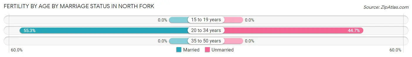 Female Fertility by Age by Marriage Status in North Fork