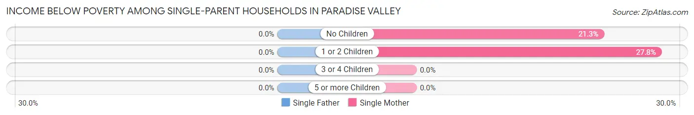 Income Below Poverty Among Single-Parent Households in Paradise Valley