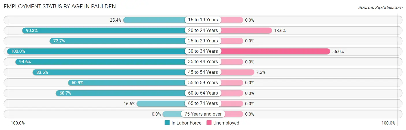 Employment Status by Age in Paulden