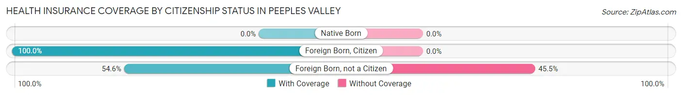 Health Insurance Coverage by Citizenship Status in Peeples Valley