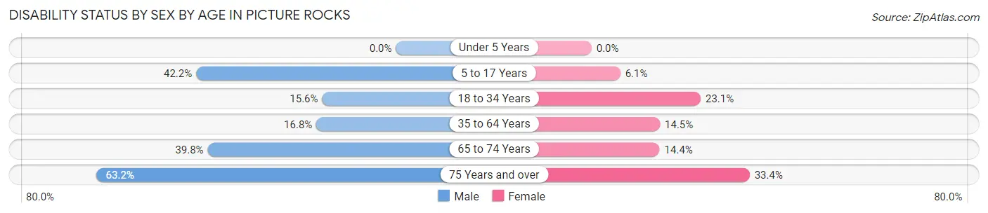 Disability Status by Sex by Age in Picture Rocks
