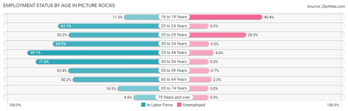Employment Status by Age in Picture Rocks