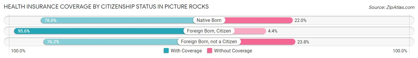 Health Insurance Coverage by Citizenship Status in Picture Rocks
