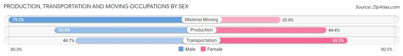 Production, Transportation and Moving Occupations by Sex in Pima