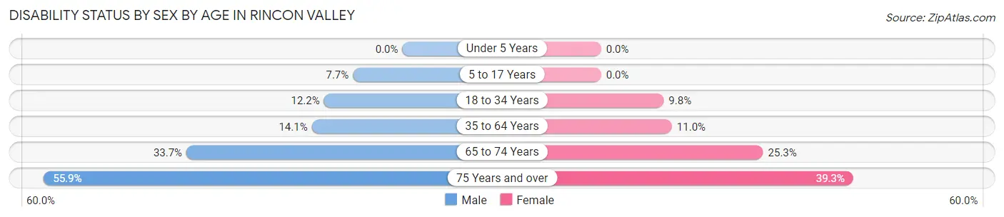 Disability Status by Sex by Age in Rincon Valley