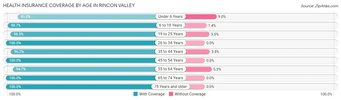 Health Insurance Coverage by Age in Rincon Valley