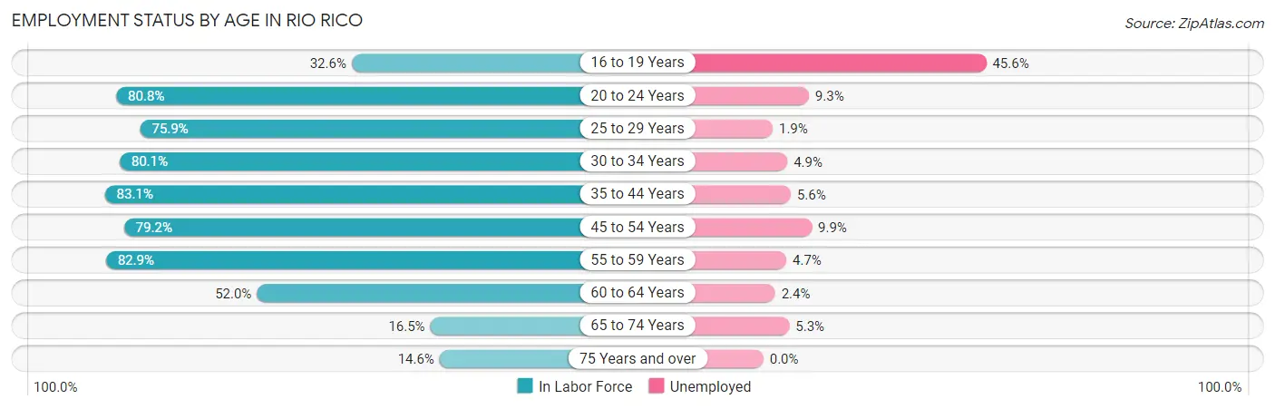 Employment Status by Age in Rio Rico