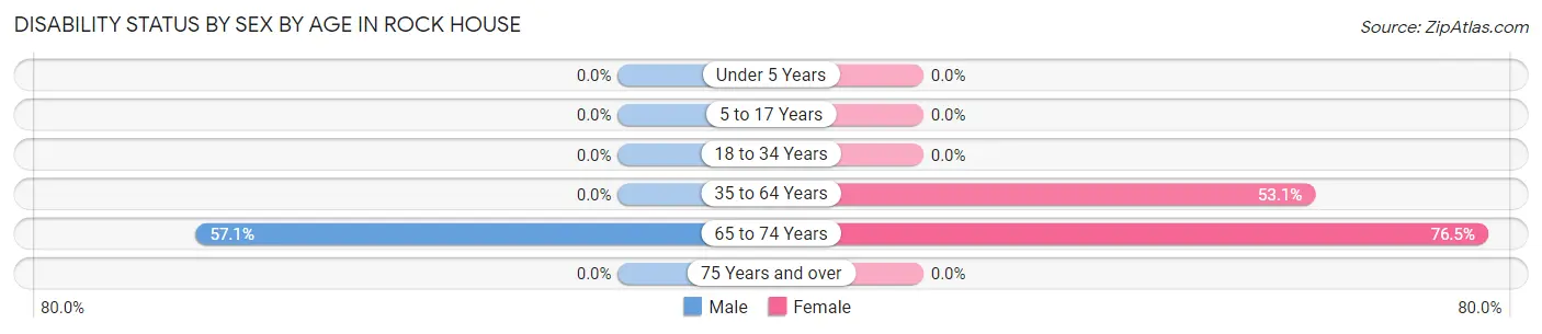 Disability Status by Sex by Age in Rock House