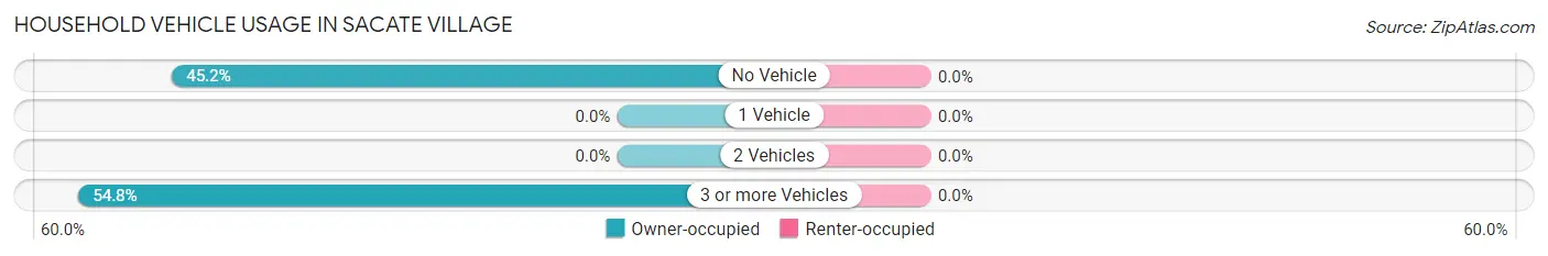 Household Vehicle Usage in Sacate Village