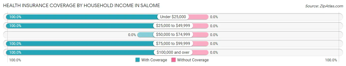 Health Insurance Coverage by Household Income in Salome