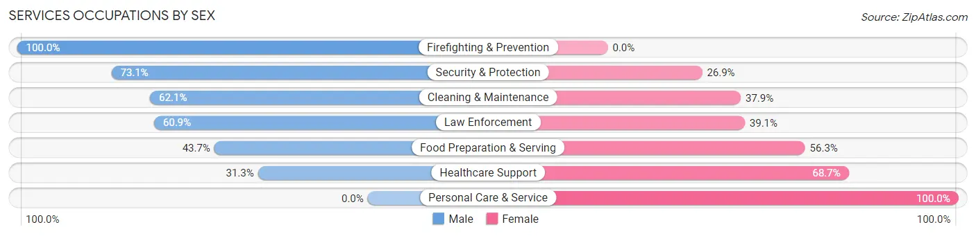 Services Occupations by Sex in San Luis