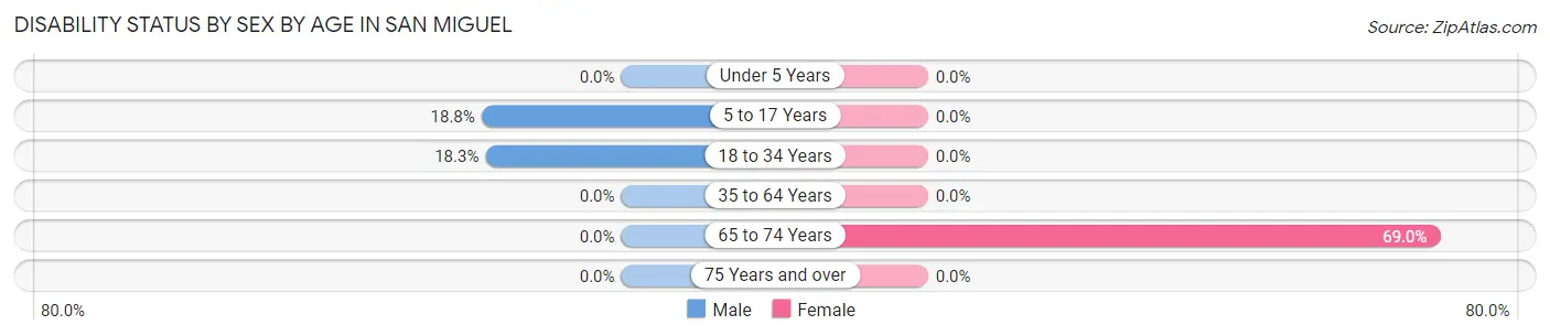 Disability Status by Sex by Age in San Miguel