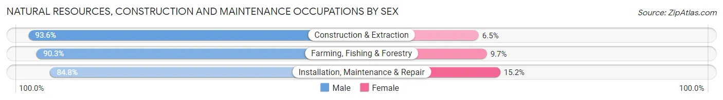 Natural Resources, Construction and Maintenance Occupations by Sex in Scottsdale