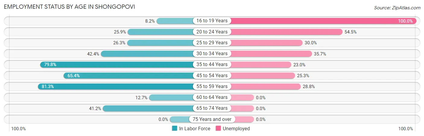 Employment Status by Age in Shongopovi