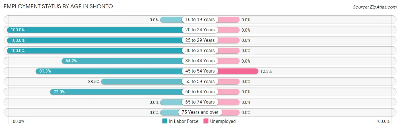 Employment Status by Age in Shonto