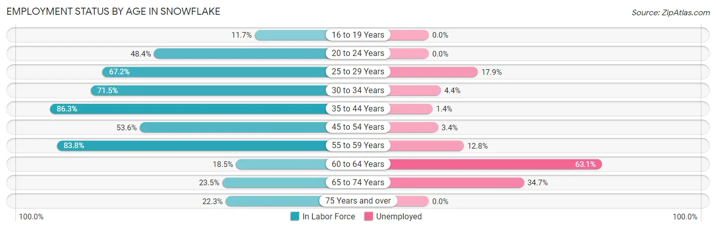 Employment Status by Age in Snowflake