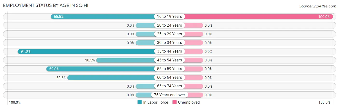 Employment Status by Age in So Hi