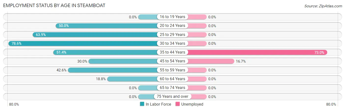 Employment Status by Age in Steamboat