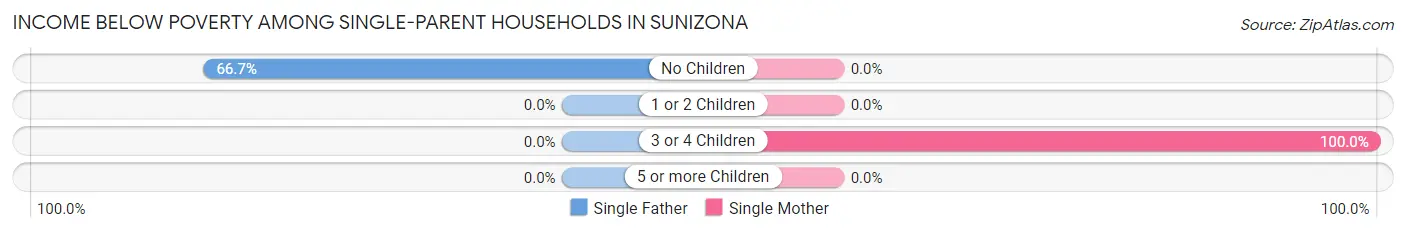 Income Below Poverty Among Single-Parent Households in Sunizona