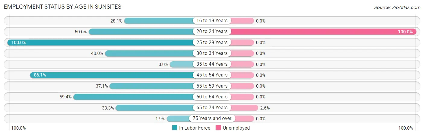 Employment Status by Age in Sunsites