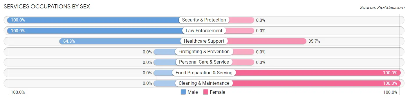 Services Occupations by Sex in Sunsites