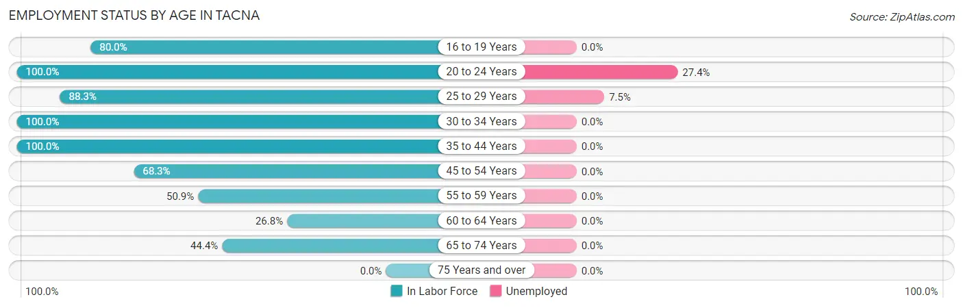 Employment Status by Age in Tacna
