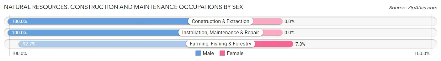 Natural Resources, Construction and Maintenance Occupations by Sex in Tacna